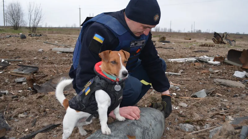 This Jack Russell terrier is saving lives every day in Ukraine