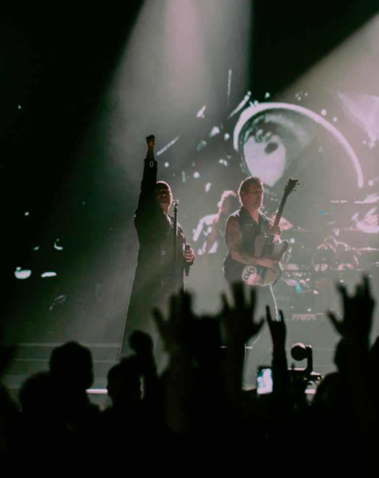 Disturbed