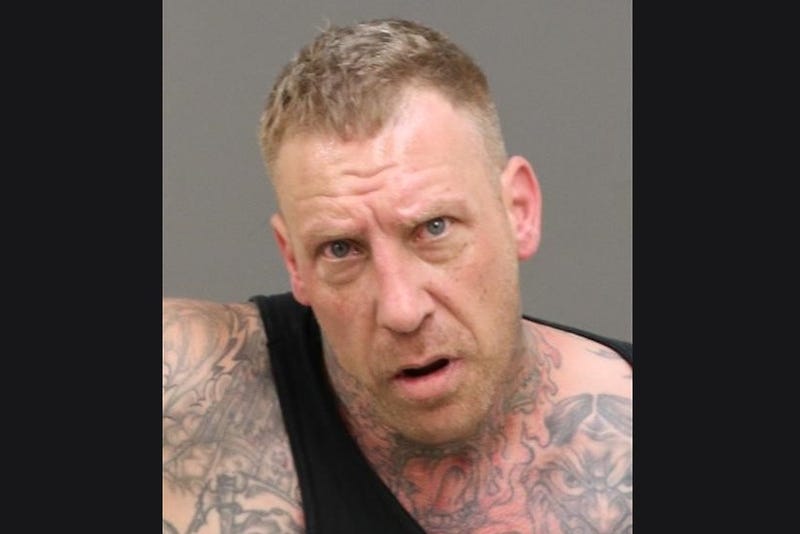 An undercover drug investigation by Warren police led to the seizure of a large amount of guns, ammunition and narcotics from a suspect's residence in Macomb County, authorities announced on Tuesday.