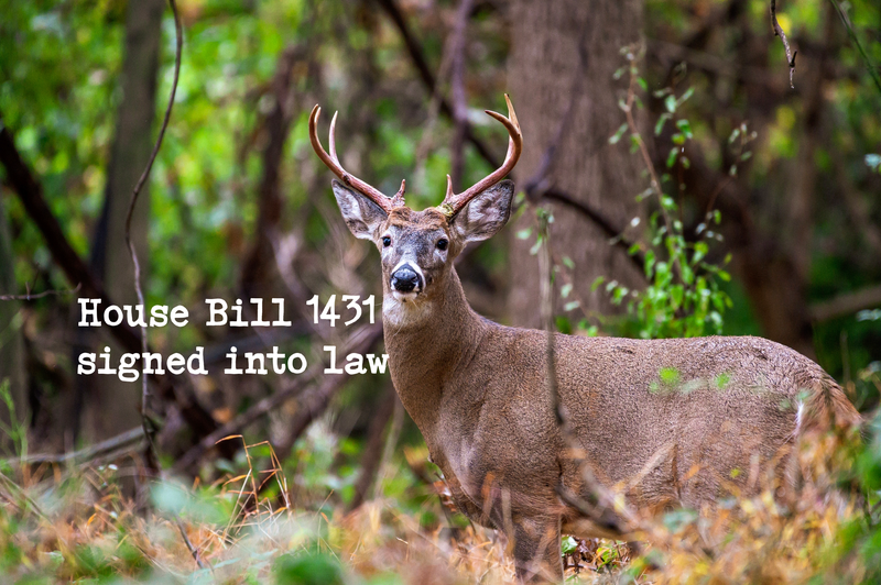 An 8-point buck is looking directly at the camera. Next to the buck is a white typewriter font that reads House Bill 1431 signed into law