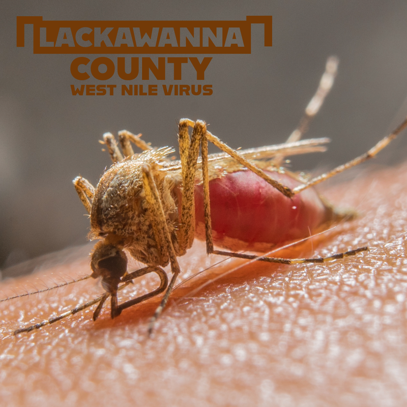West Nile Virus found again in Lackawanna County