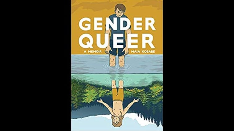 'Gender Queer' book causes controversy at suburban school board meeting