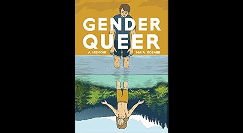 'Gender Queer' book by Maia Kobabe