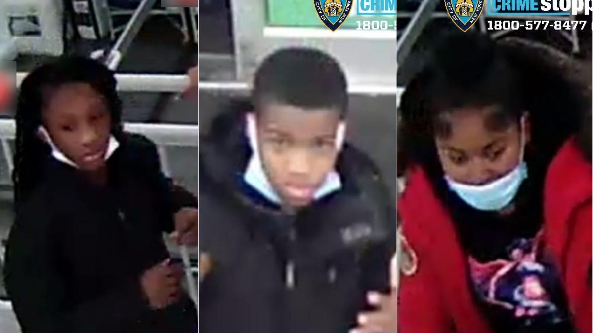 Trio sought after garbage can attack leaves woman seriously hurt: NYPD
