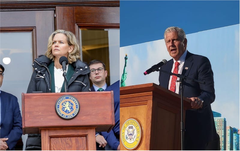 Laura Curran/Bruce Blakeman