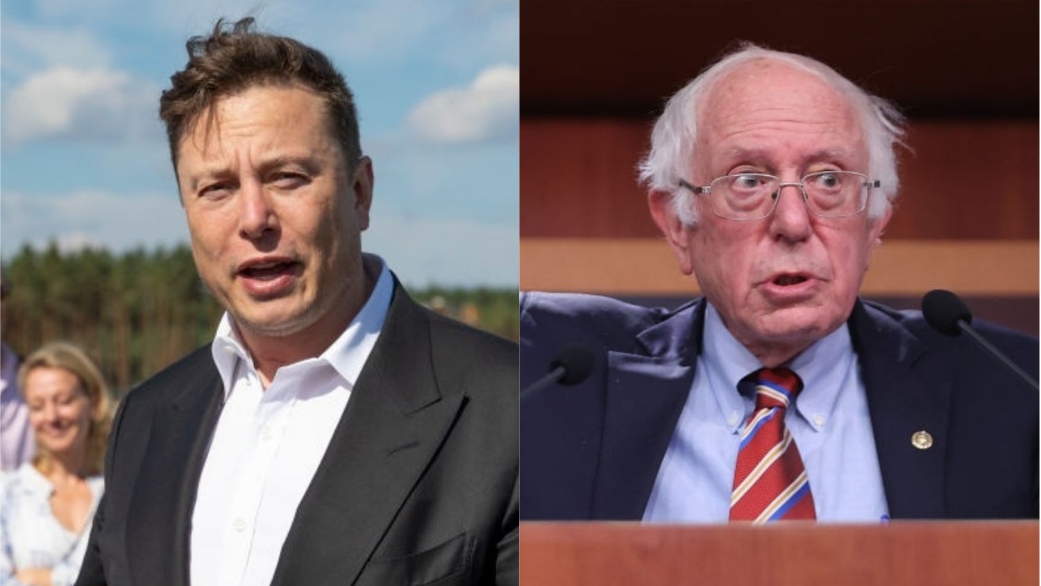 Feud alert! Elon Musk tweets at Bernie Sanders, 'I keep forgetting you're alive'