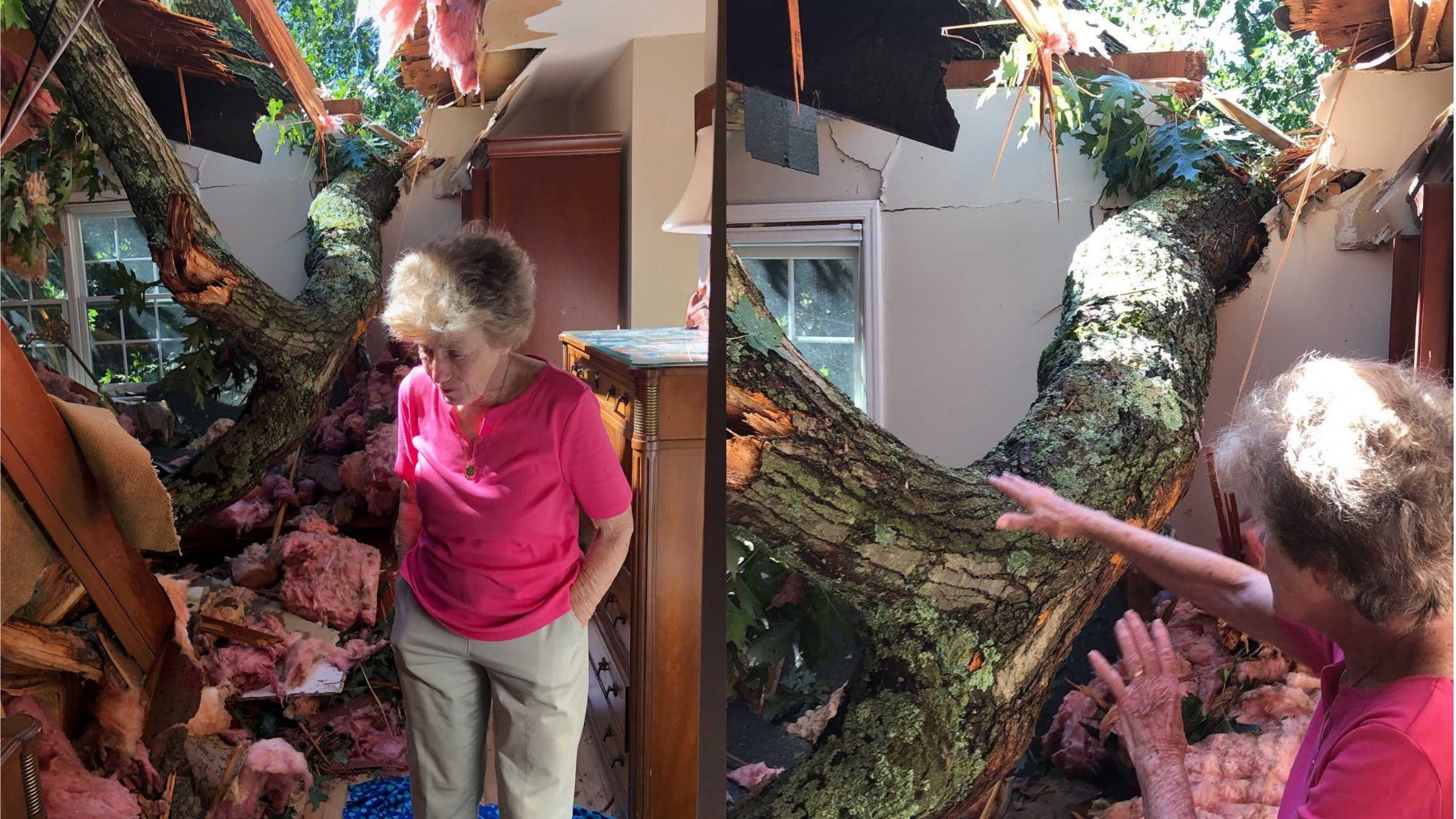 'I thought it was a dream': LI couple awakes to find tree in bedroom after Ida