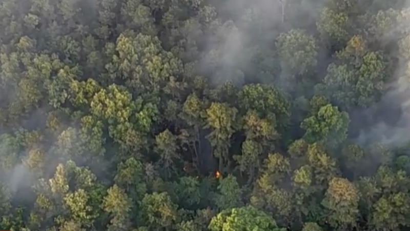 wildfire in NJ
