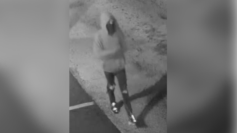 Person of interest in fatal shooting and carjacking of 65-year-old Mohammad Rahman.