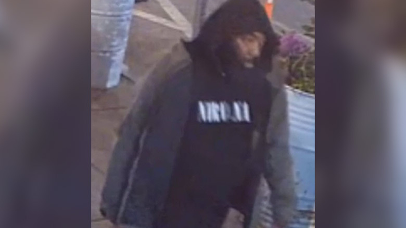 wanted sexual assault suspect