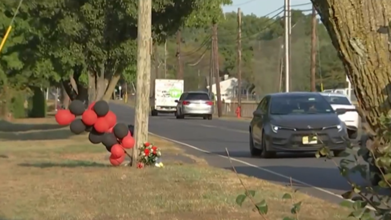 Growing memorial in Vineland