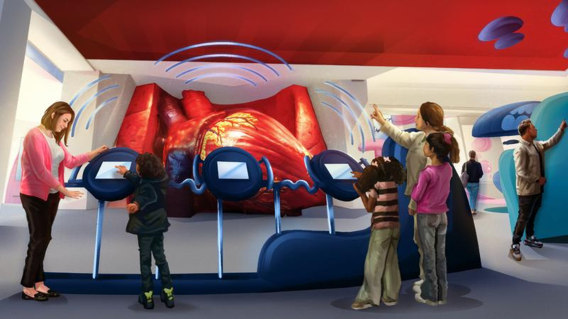 Body Odyssey, a new, $8.5 million, 8500-square-foot exhibit, will take visitors through the intricacies of the human body with larger-than-life installations, simulations, and immersive experiences — with the iconic Giant Heart at its center.