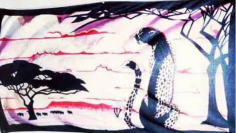 Serengeti beach towel the infant was found wrapped in.