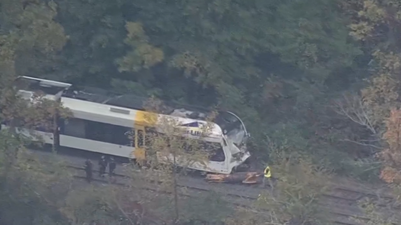 A tree fell on New Jersey River Line train Monday morning.