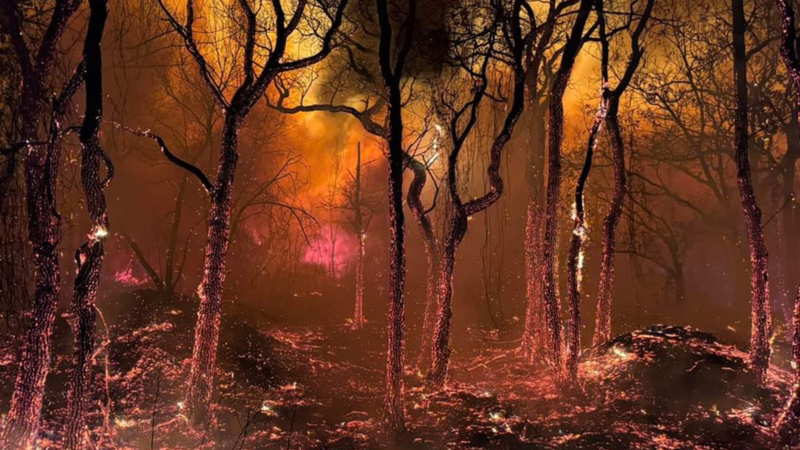Pennsylvania wildfire