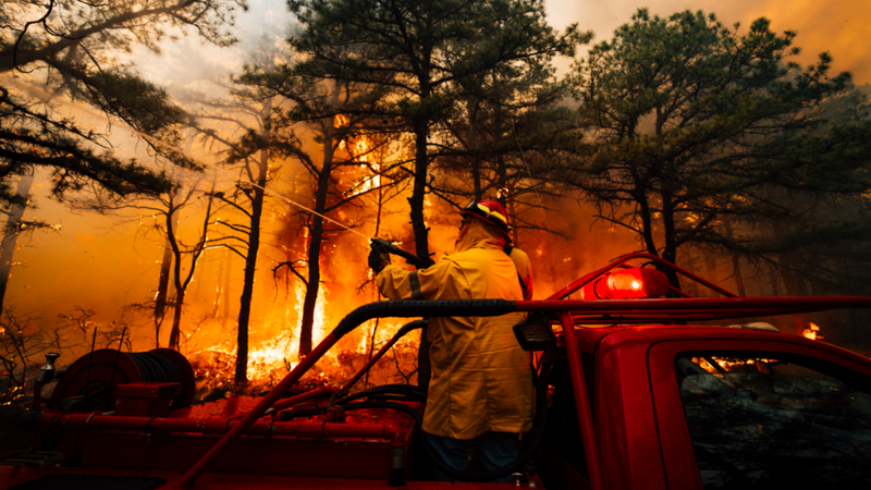 Ocean County wildfire