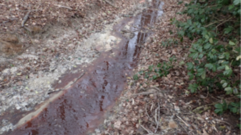 "Red, unauthorized discharge" in the southeastern portion of the Burlington Beef slaughterhouse in Monroeville, NJ.