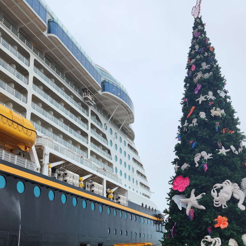 Bennett's Adventures Aboard Disney Dream