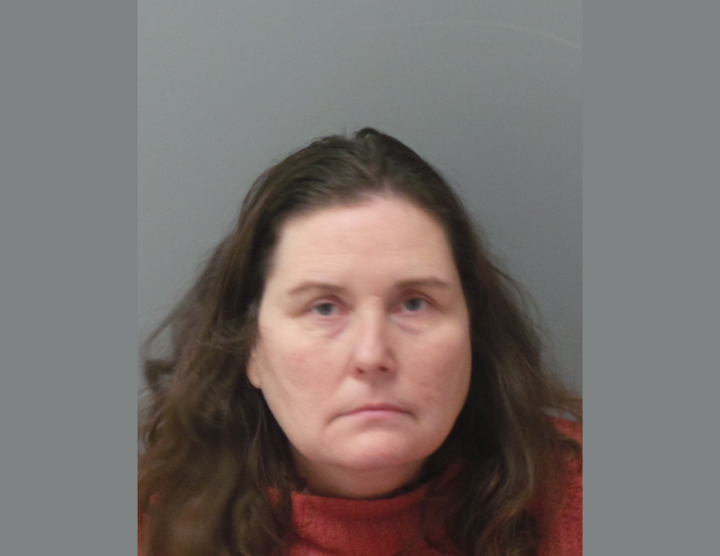 mugshot of judy kline. she is a white woman with long brown hair