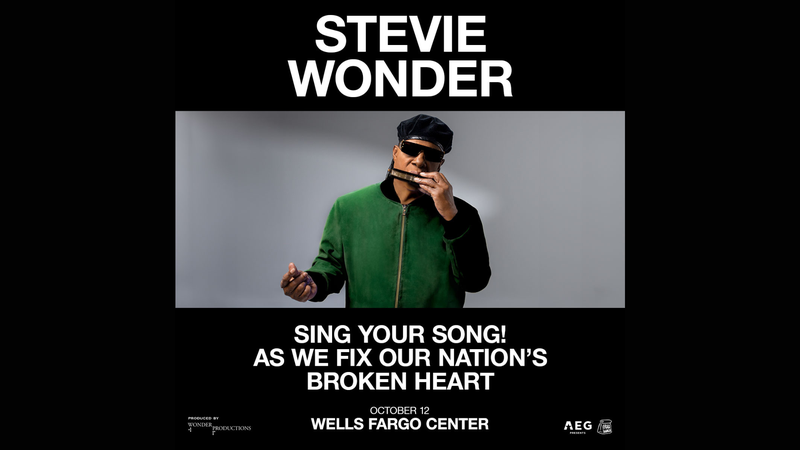 Stevie Wonder