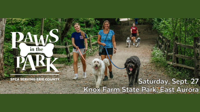 yourspca.org