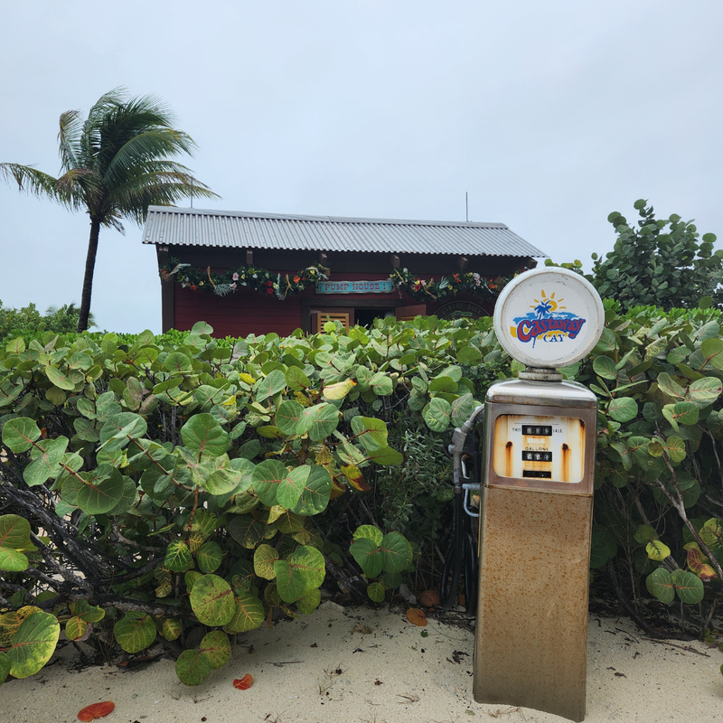 Bennett's Adventures Aboard Disney Dream