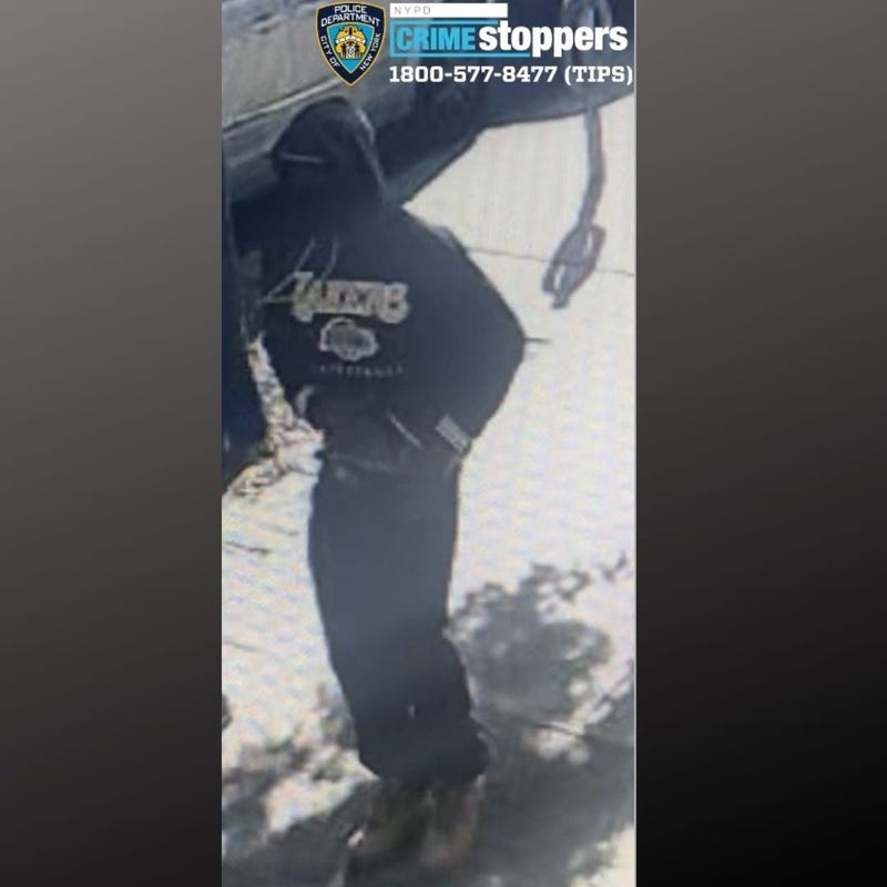Suspect Sought