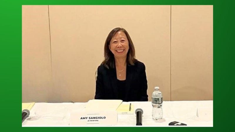Rep Amy Sangiolo