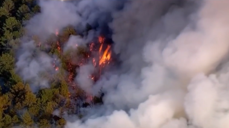 Wildfire in Shamong Township, New Jersey
