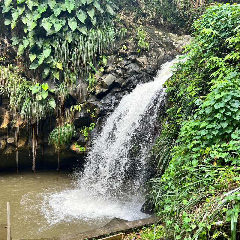Annendale Falls in Grenada