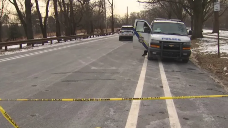 Two men were attacked by dogs in Fairmount Park Friday morning. 
