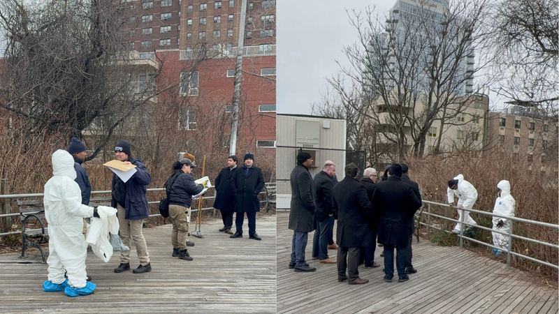 A human skull was discovered in the bushes off the Coney Island Boardwalk on Tuesday evening, police said.