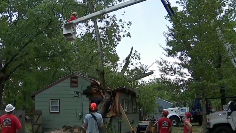 tree falls on NJ house after tornado touches down