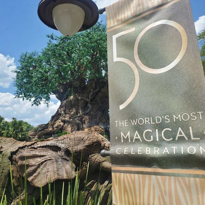 Walt Disney World's 50th Anniversary - The World's Most Magical Celebration