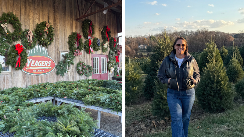 2. Yeager’s Farm - Cut your own Christmas Tree