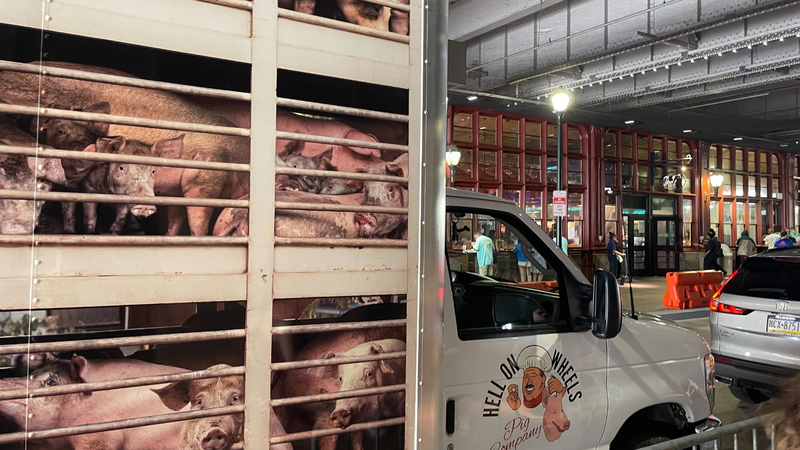 Pig on Wheels truck