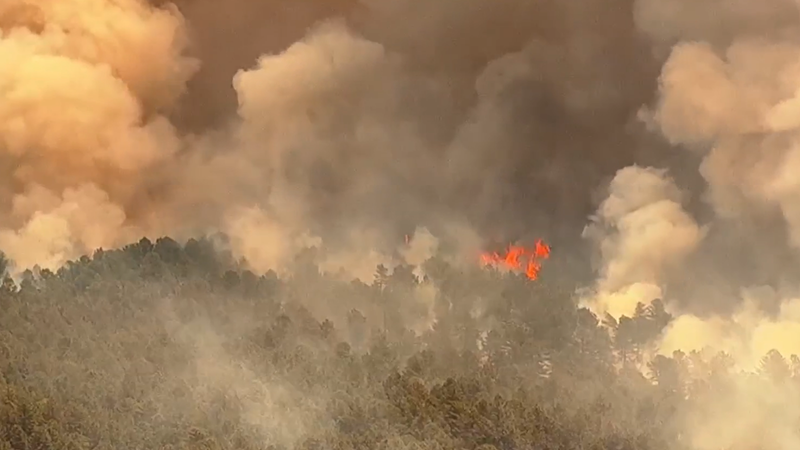 Wildfire in Wharton