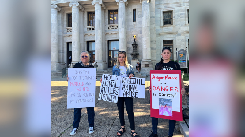 Protesters outside Media courthouse