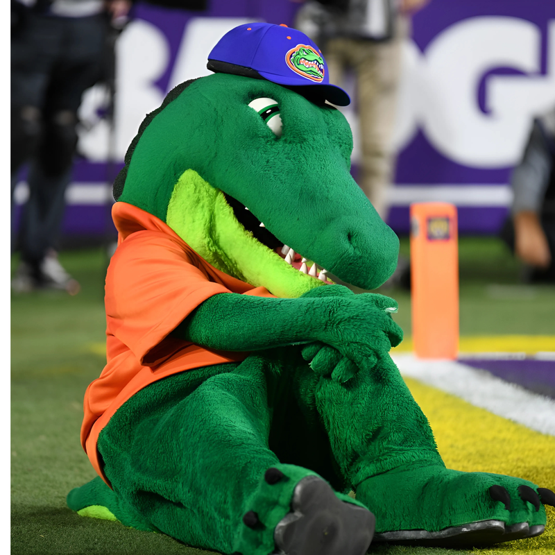 LSU beats Florida