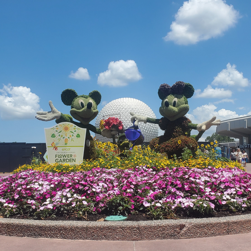 Views at Walt Disney World 