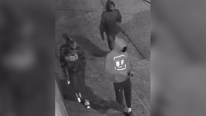 Wanted car theft suspects