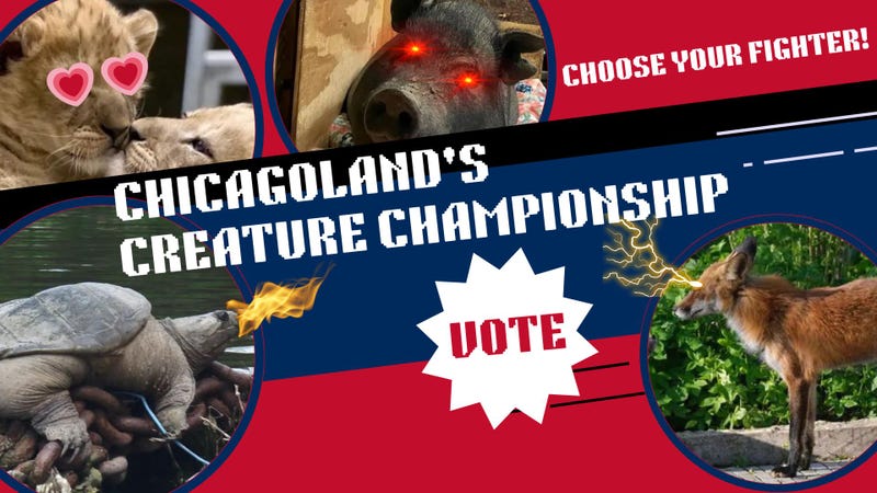 Chicagoland's creature championship