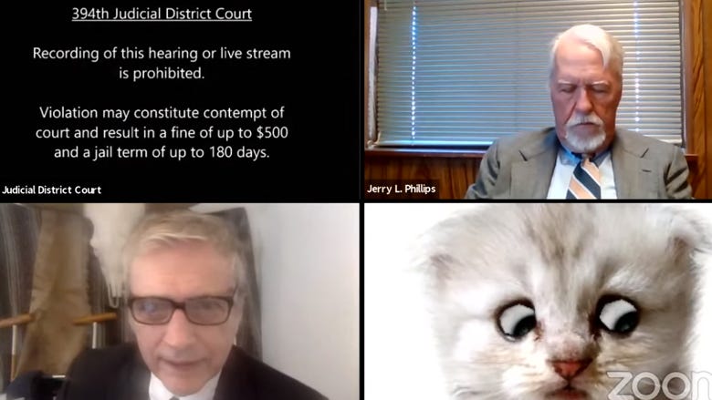 Watch: Lawyer tells judge 'I'm not a cat' after joining Zoom court hearing with kitten filter