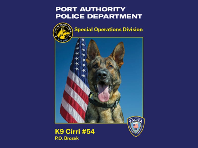 A trading card of K9 Cirri. 