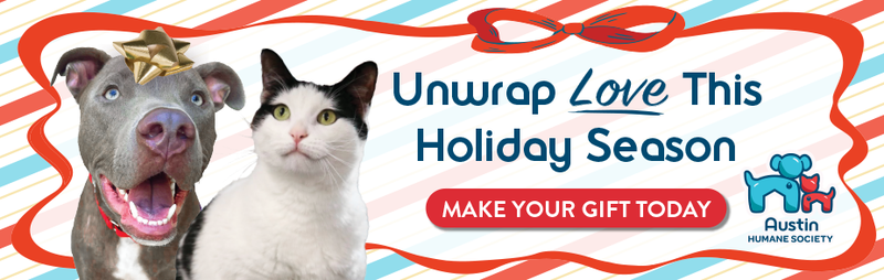 Unwrap the Love This Holiday Season