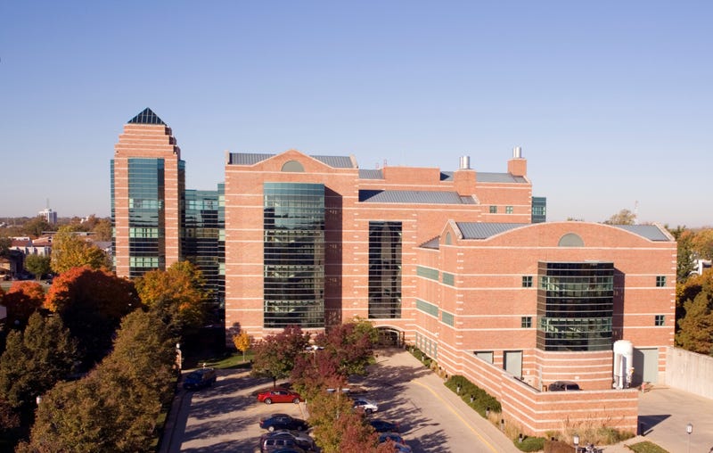 University 