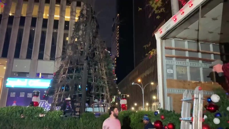 Fox News tree