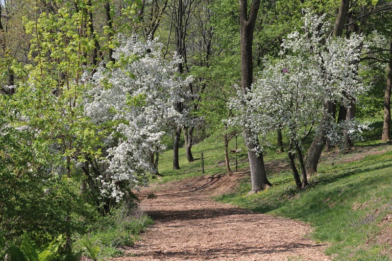 Riverbend Environmental Education Center