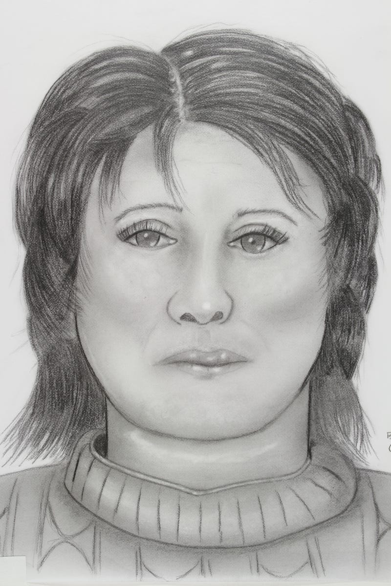 Sketch of cold case murder victim.