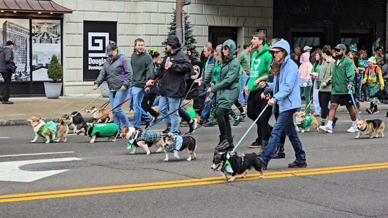 Buffalo's St. Patrick's Day Parade